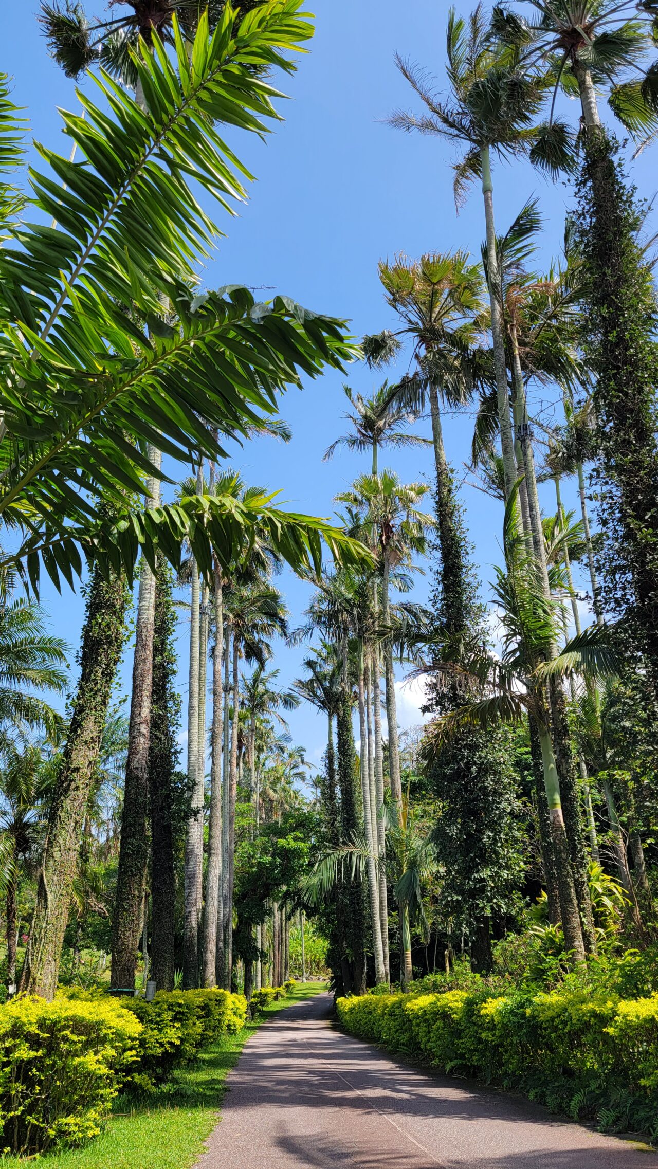 Southeast Botanical Gardens・Okinawa