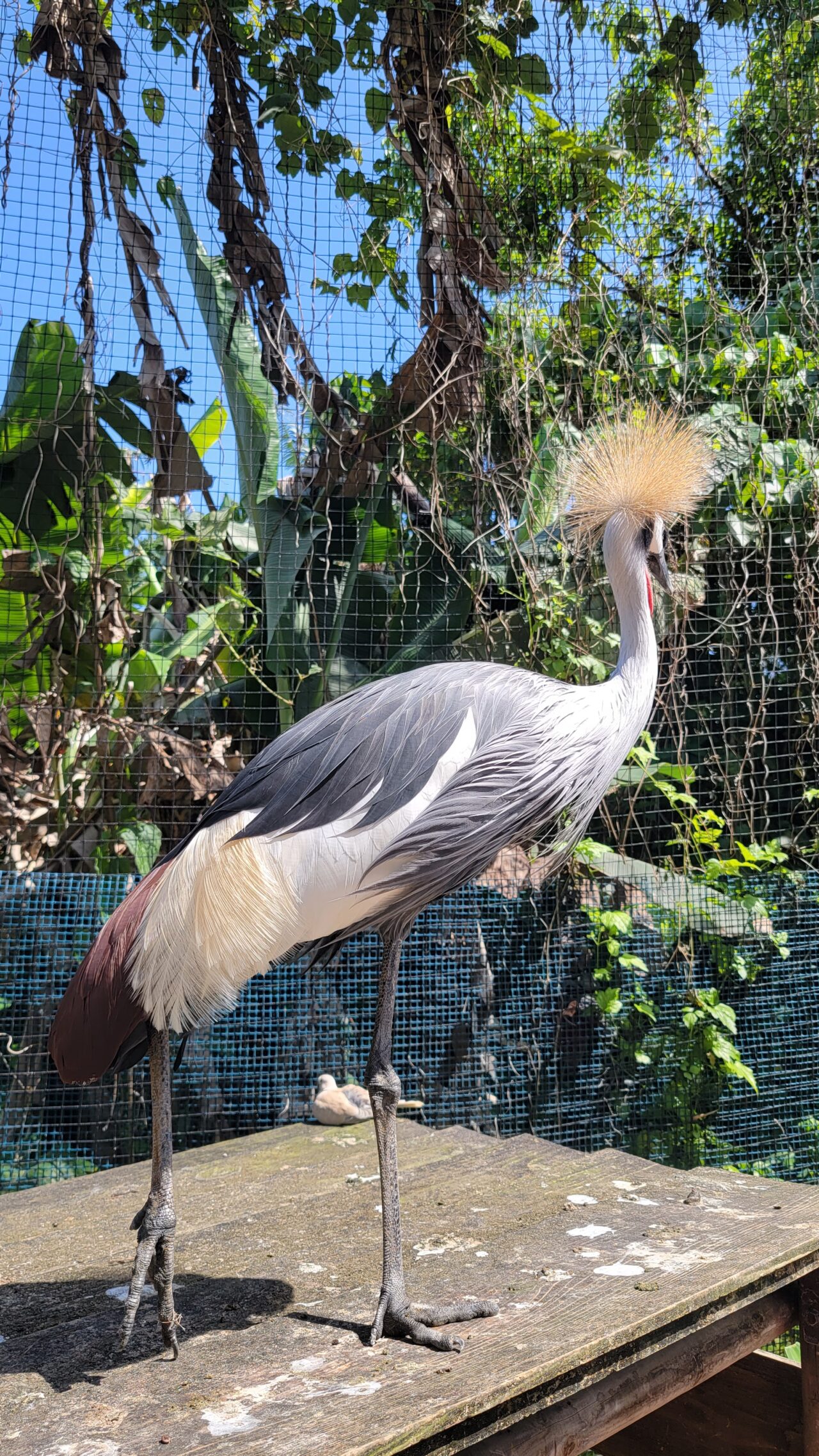 Southeast Botanical Gardens・Okinawa