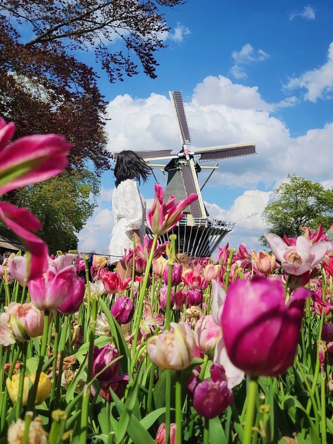 Keukenhof Gardens