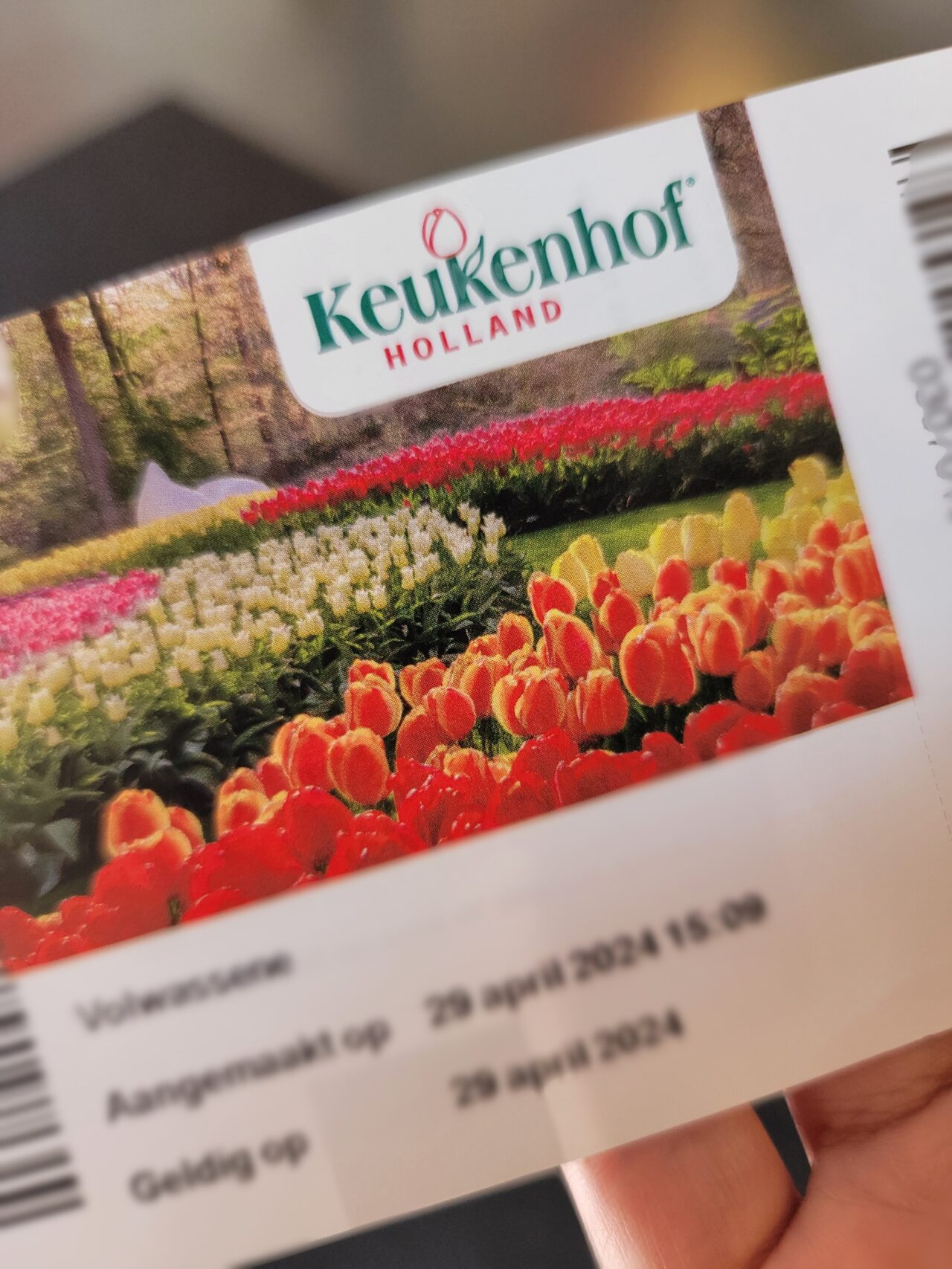 Keukenhof Gardens