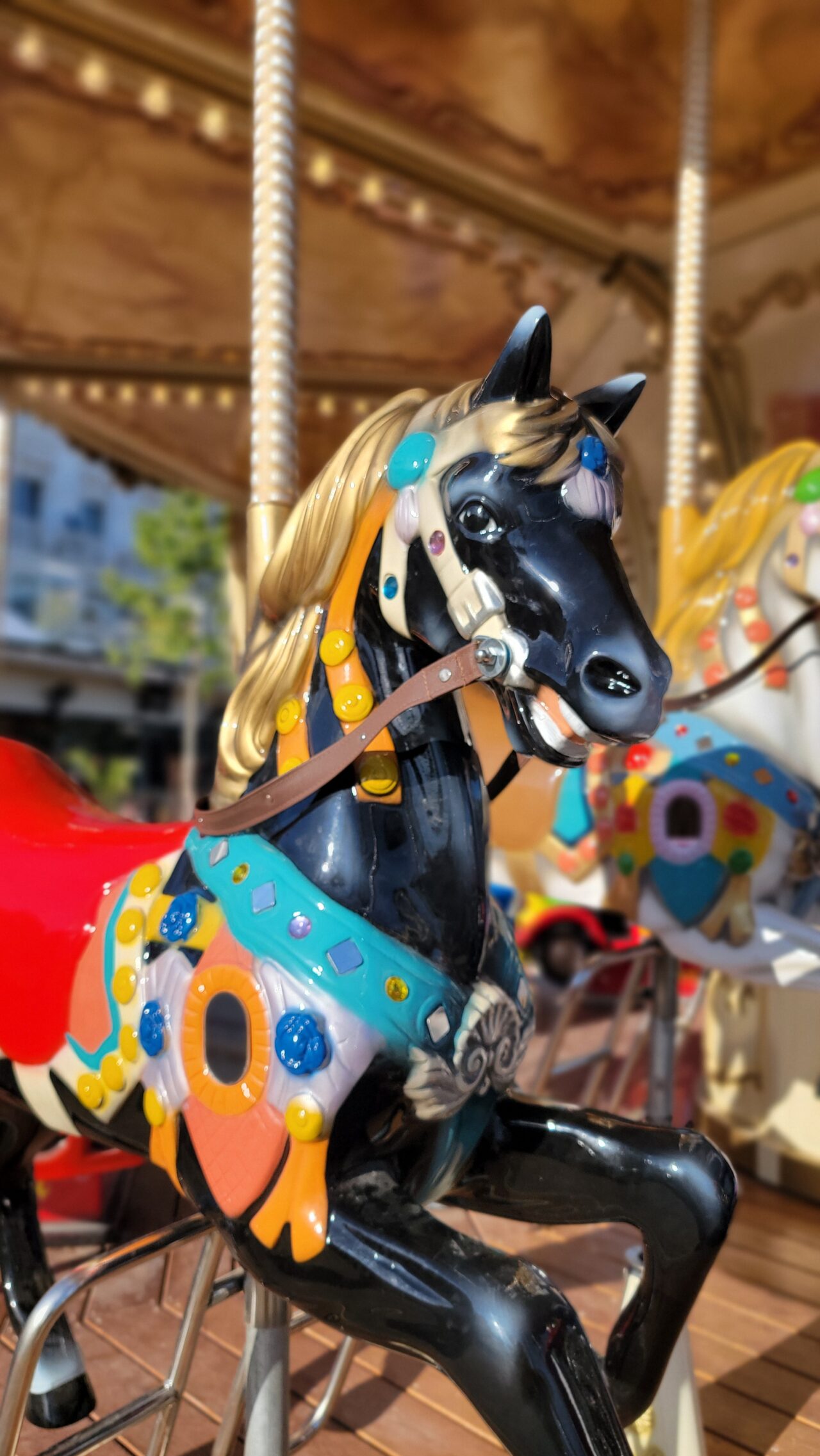 Cannes Merry-Go-Round