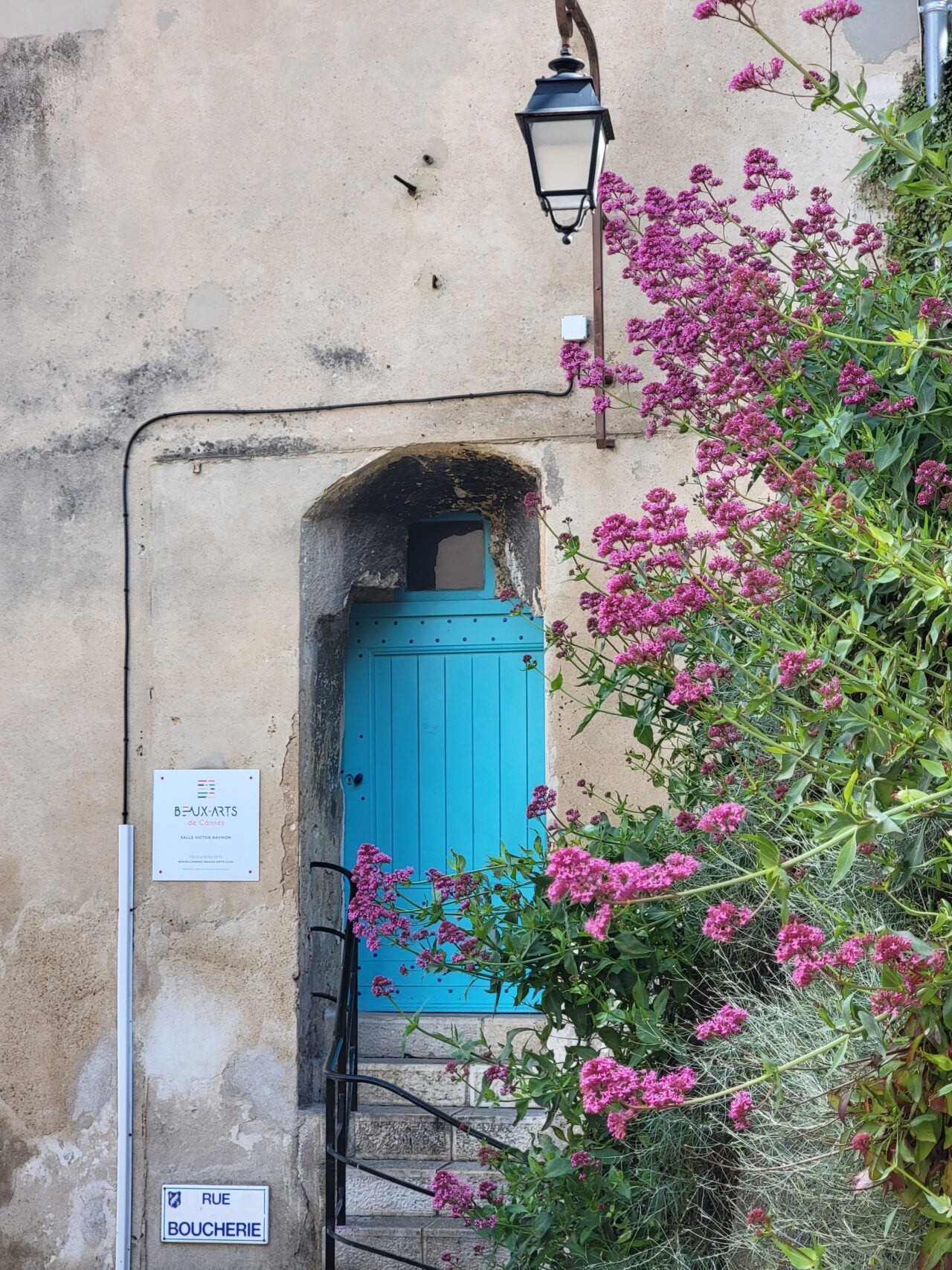 Old Town of Cannes