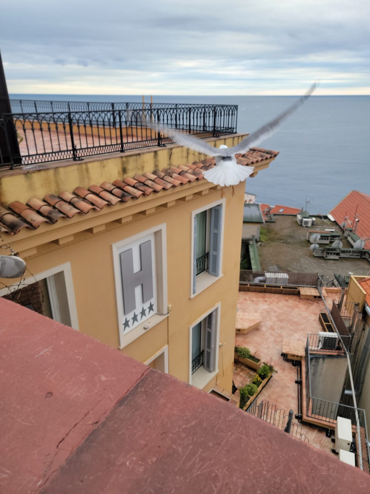 NICE/Point de vue Colline du chateau