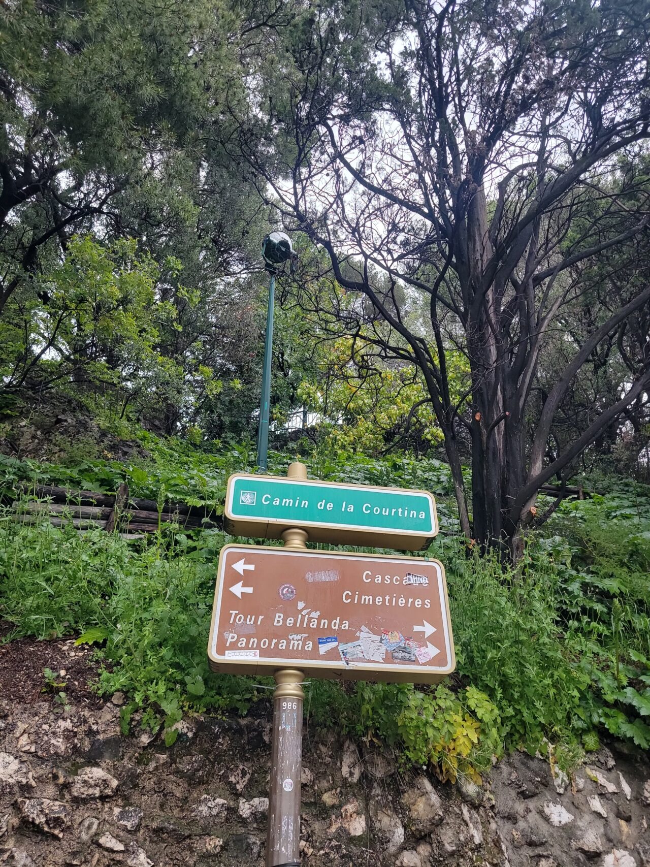 シャトー公園からの地中海の眺め Colline du Château