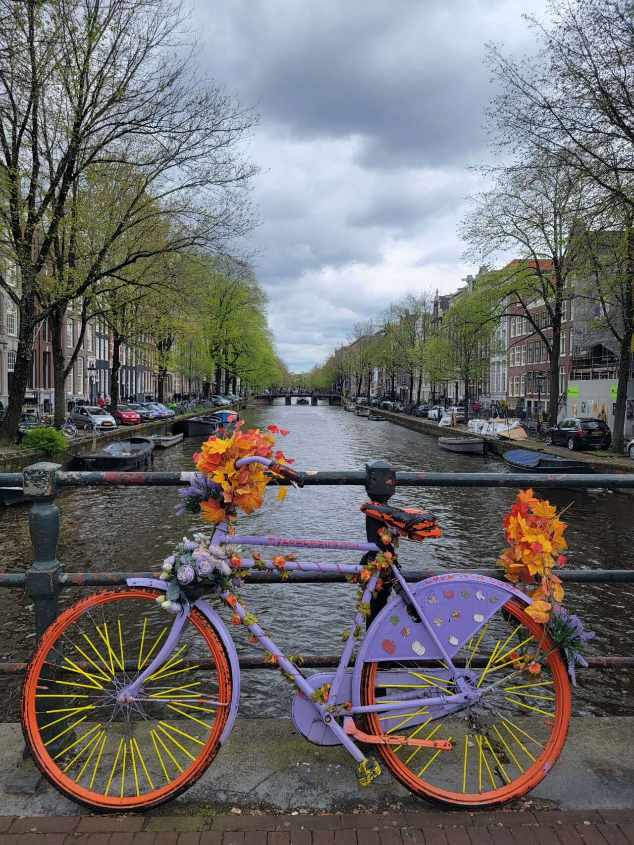 The canals of Amsterdam