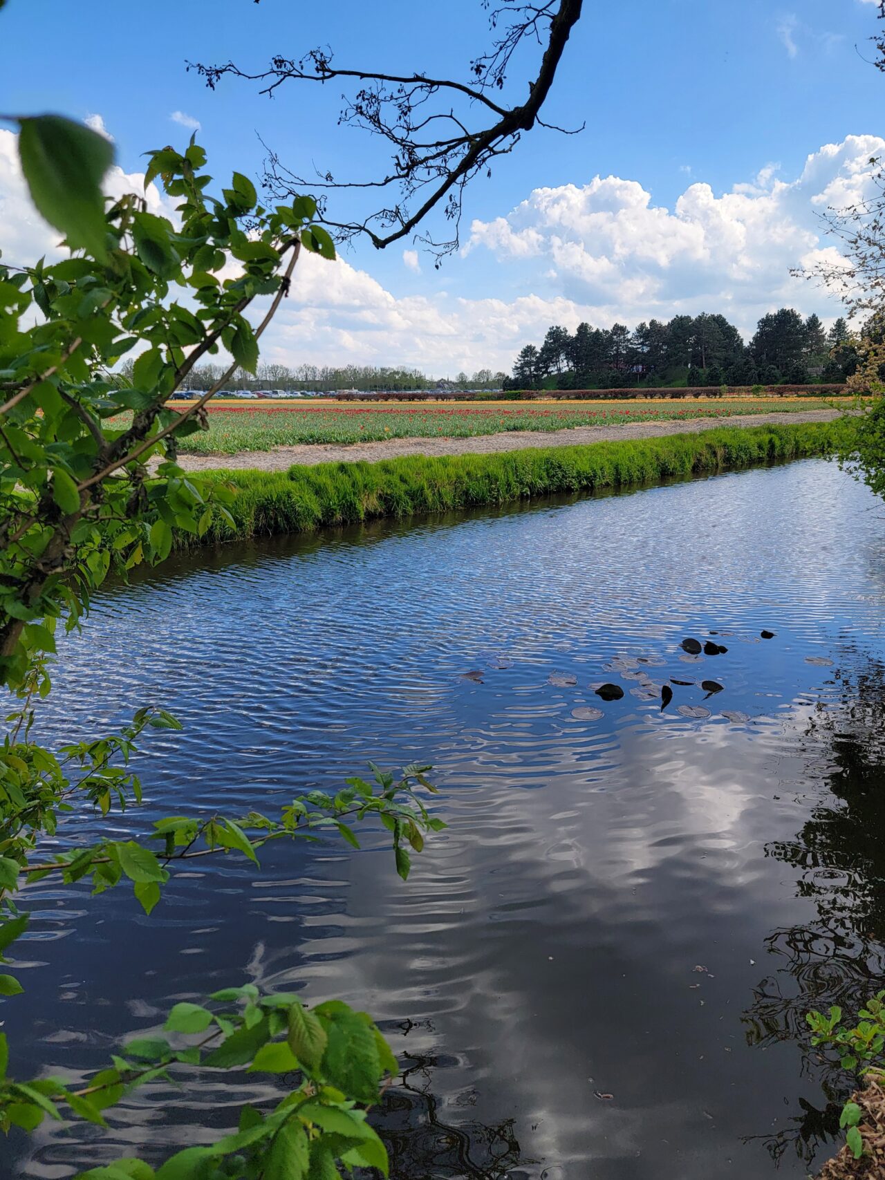 Keukenhof Gardens