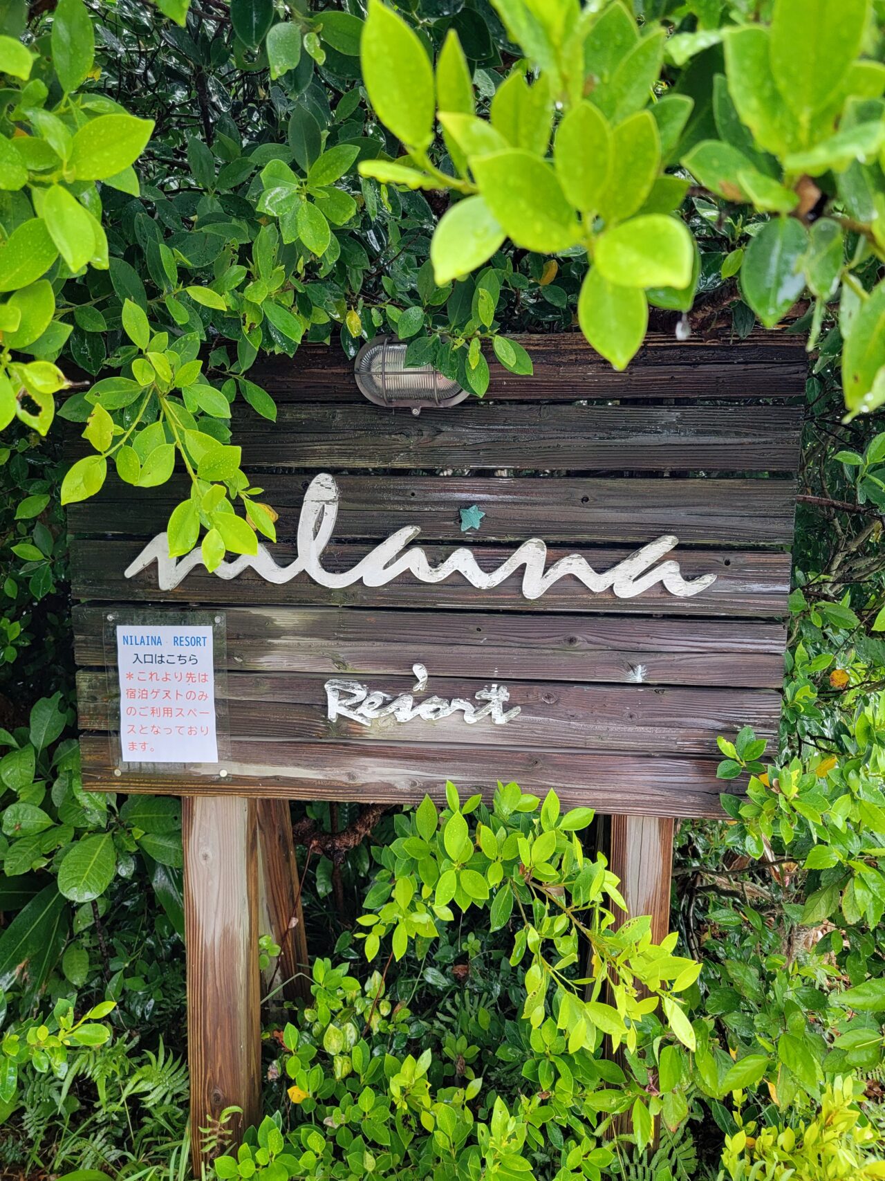 Stay at Nilaina Resort on Iriomote Island