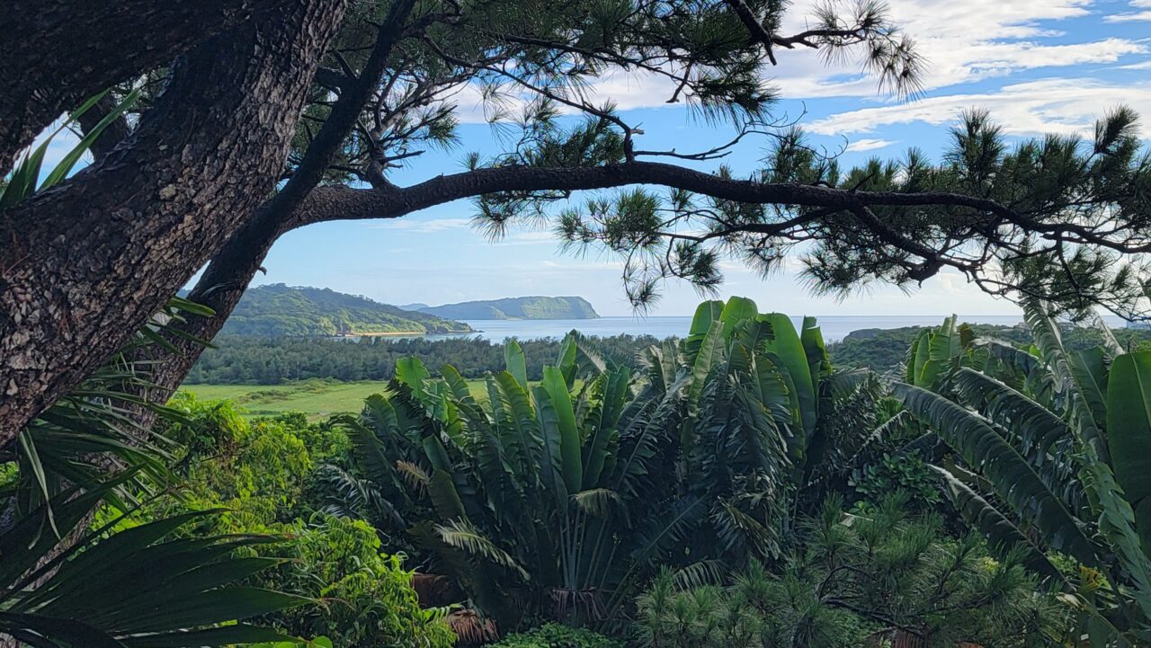 iriomote,okinawa