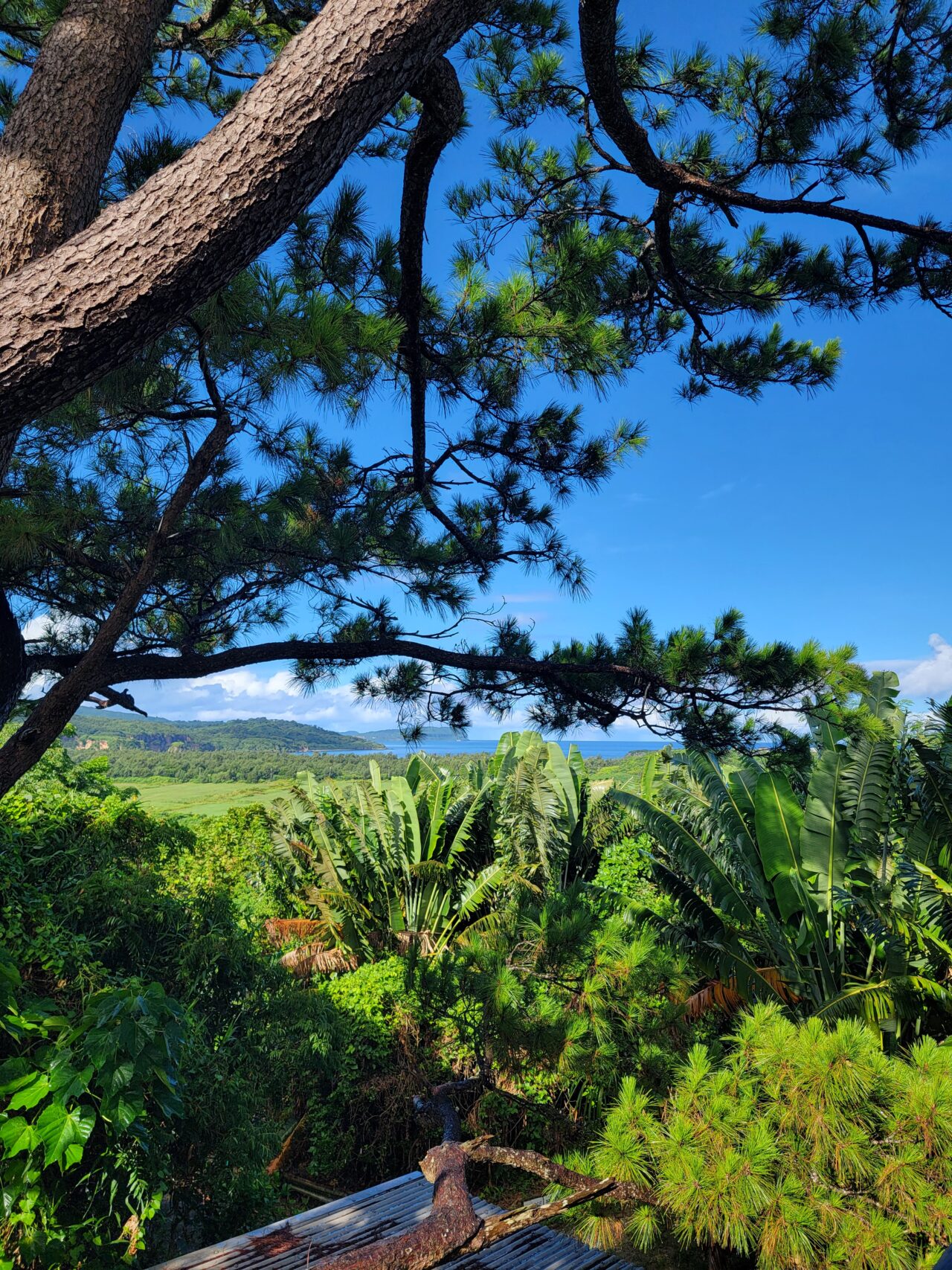 Nilaina Resort on Iriomote