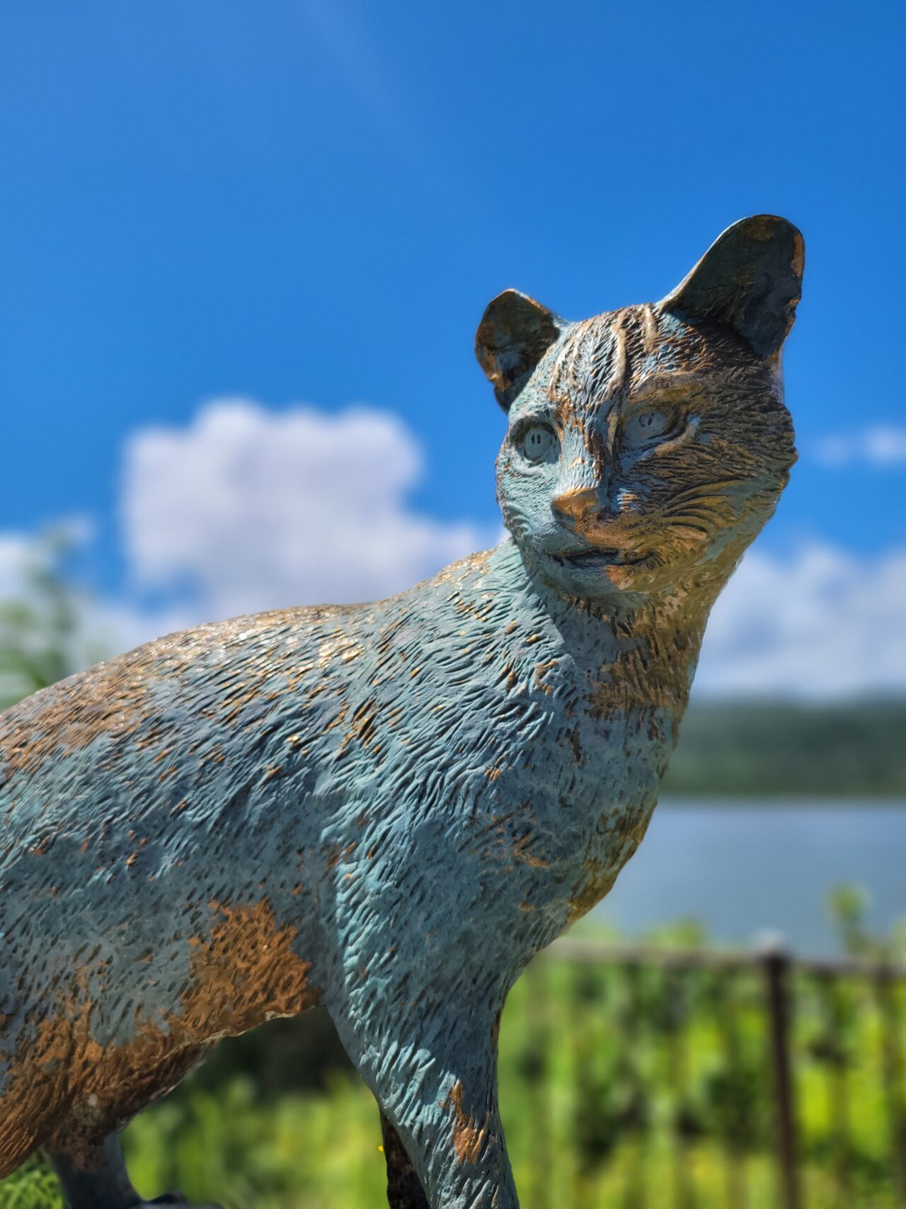 The Iriomote Cat