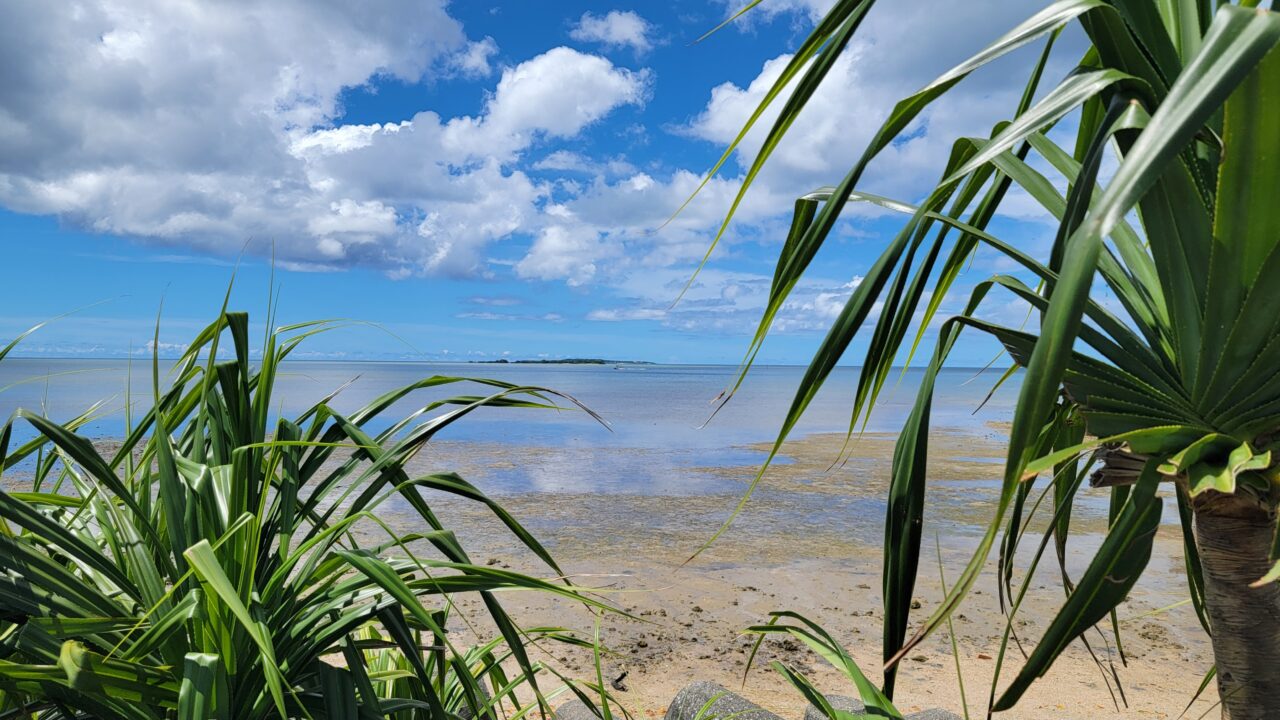 Driving Around Iriomote Island.