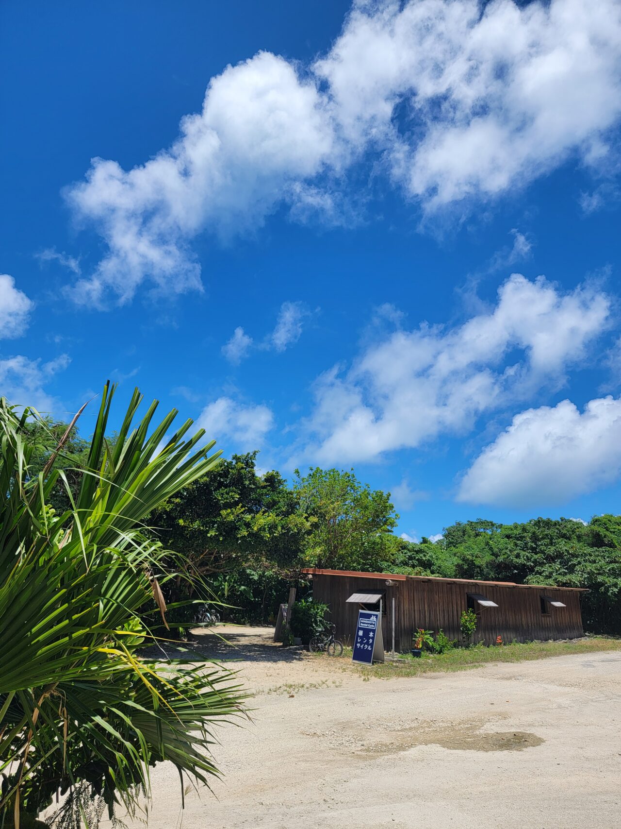 Taketomi Island/Minemoto Rental Cycle　　