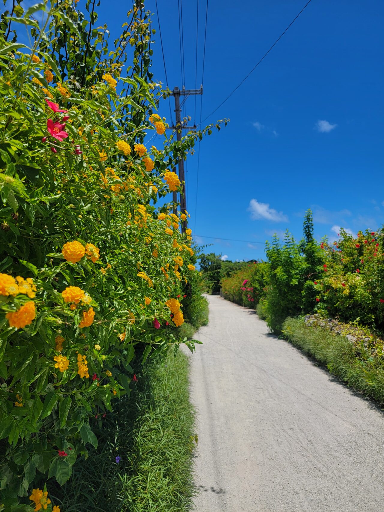 竹富島集落