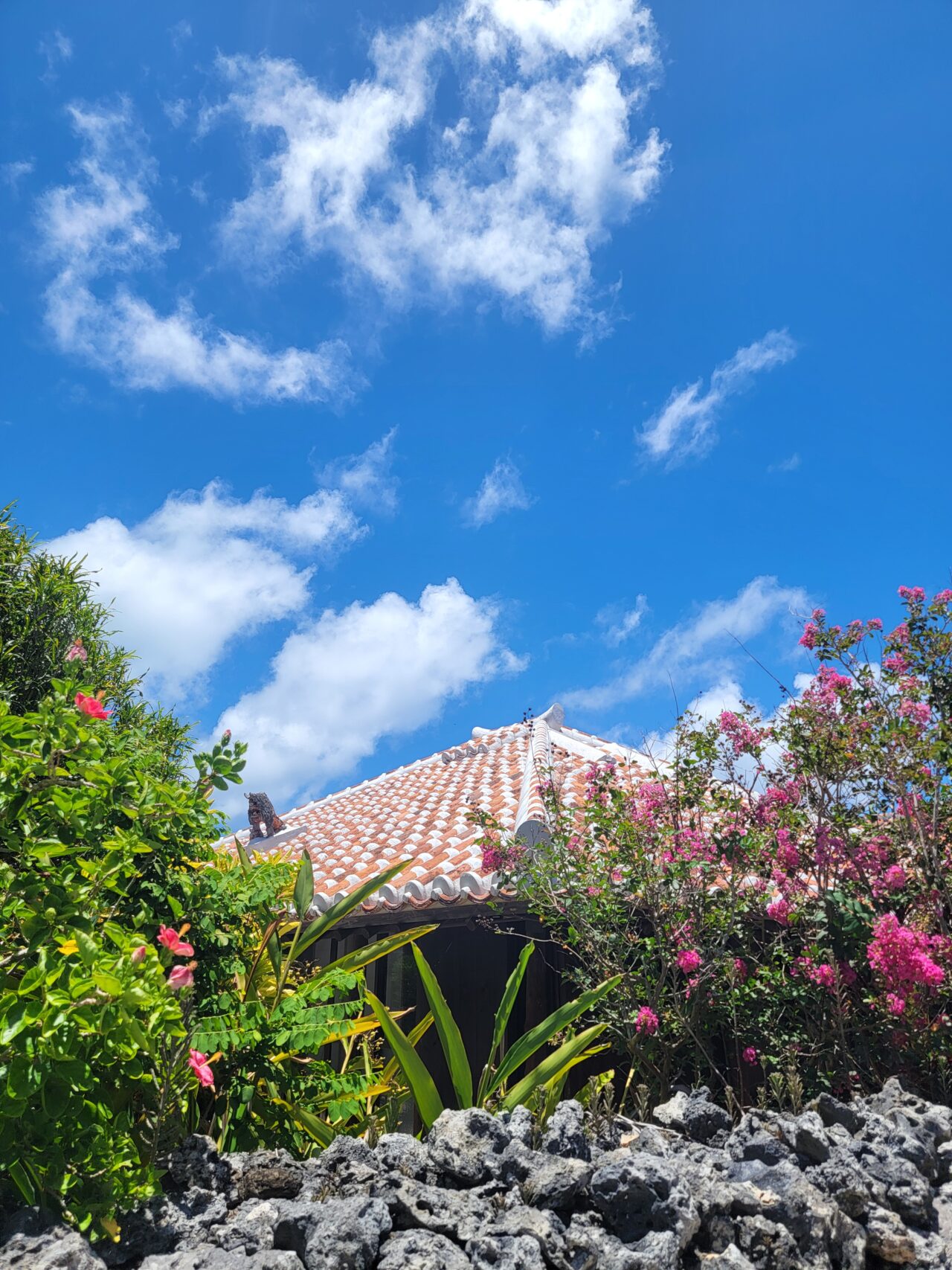 village of traditional Ryukyu houses with red-tiled roofs/Taketomi