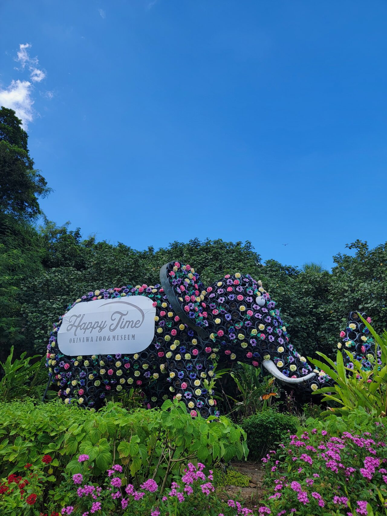 沖縄こどもの国 Okinawa zoo ＆ museum　