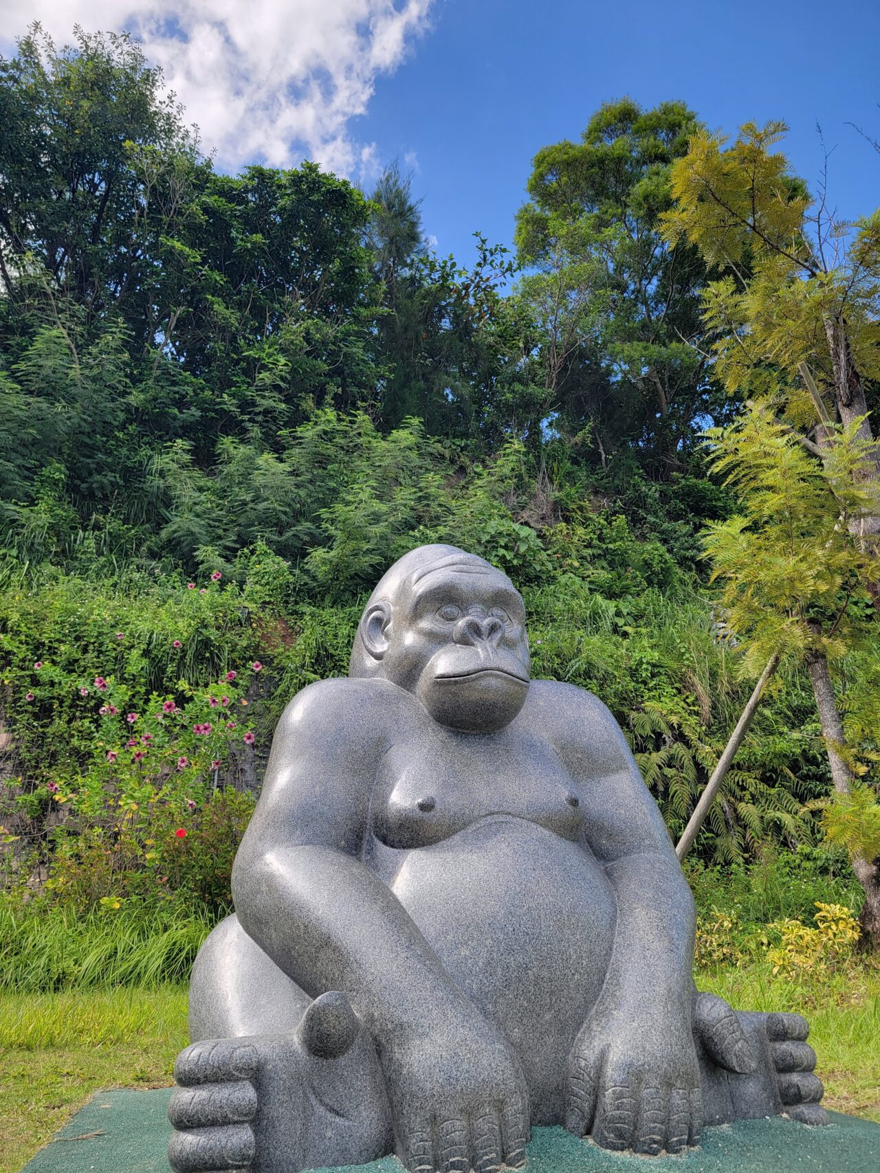 沖縄こどもの国 Okinawa zoo ＆ museum　