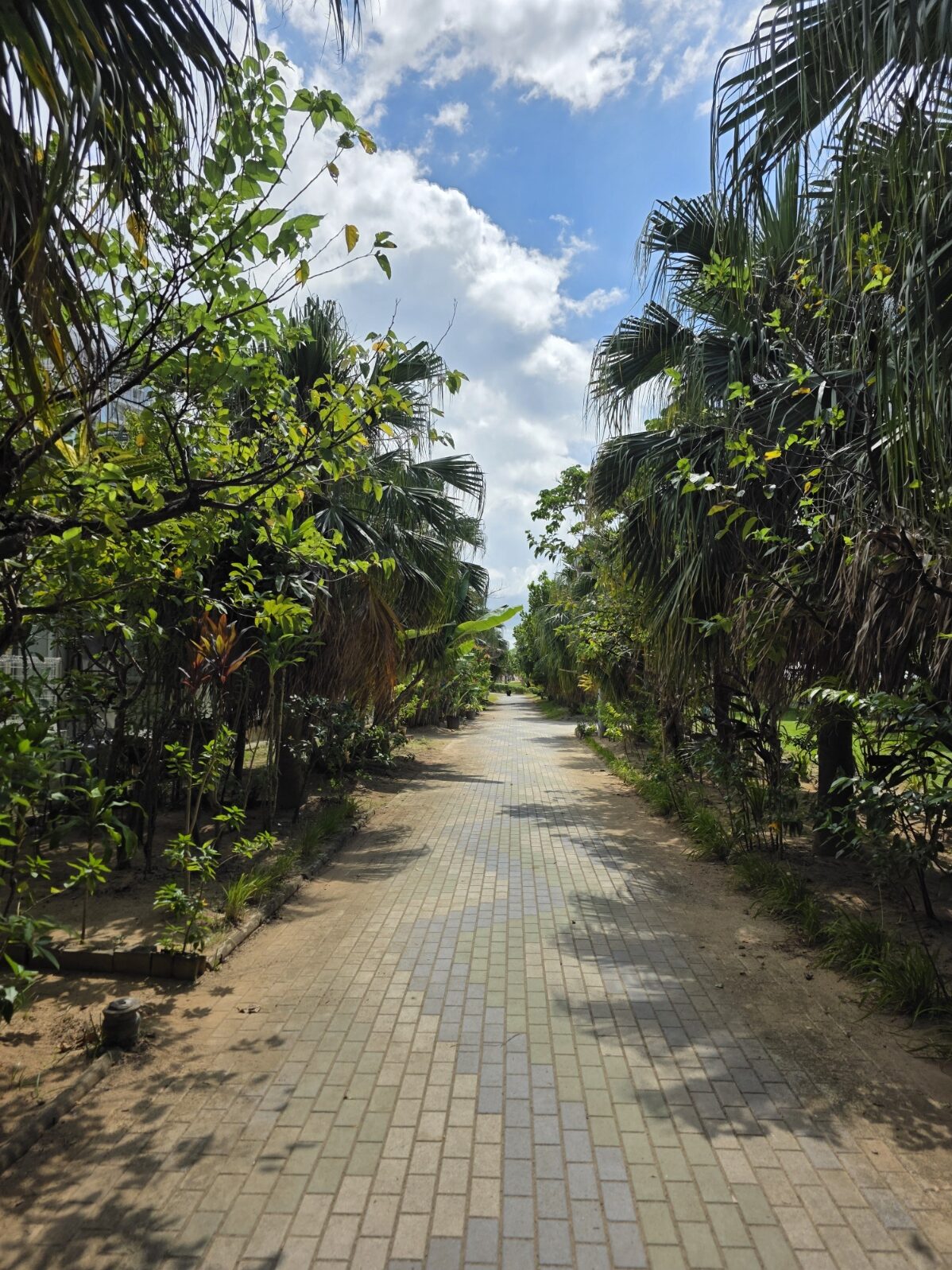 安良波公園