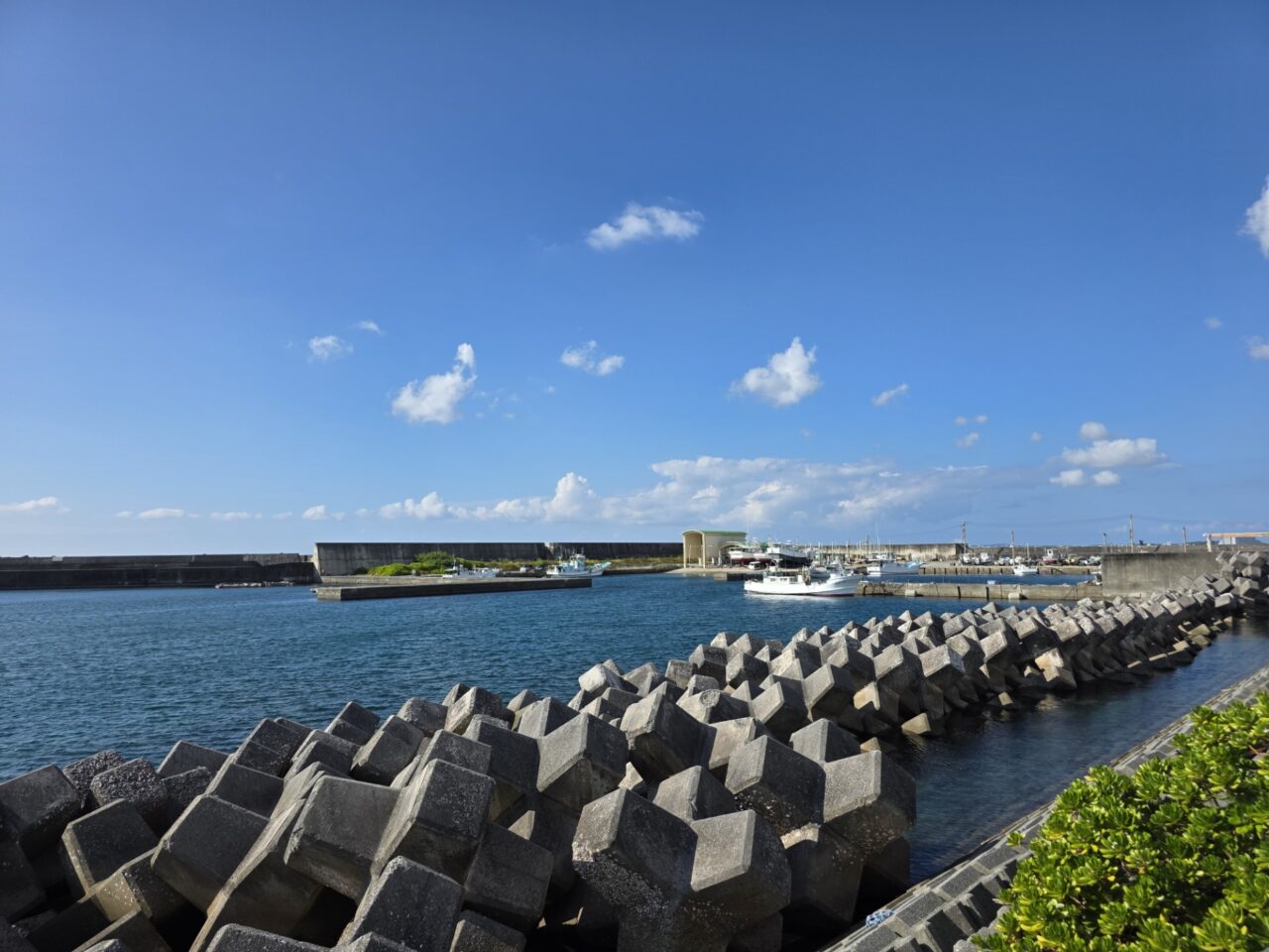 ハッピーモア市場
