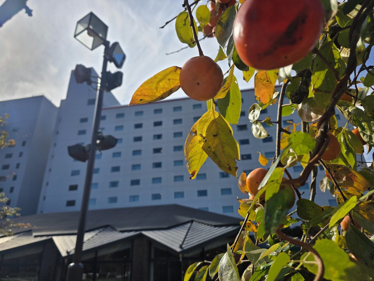 ホテル日航成田