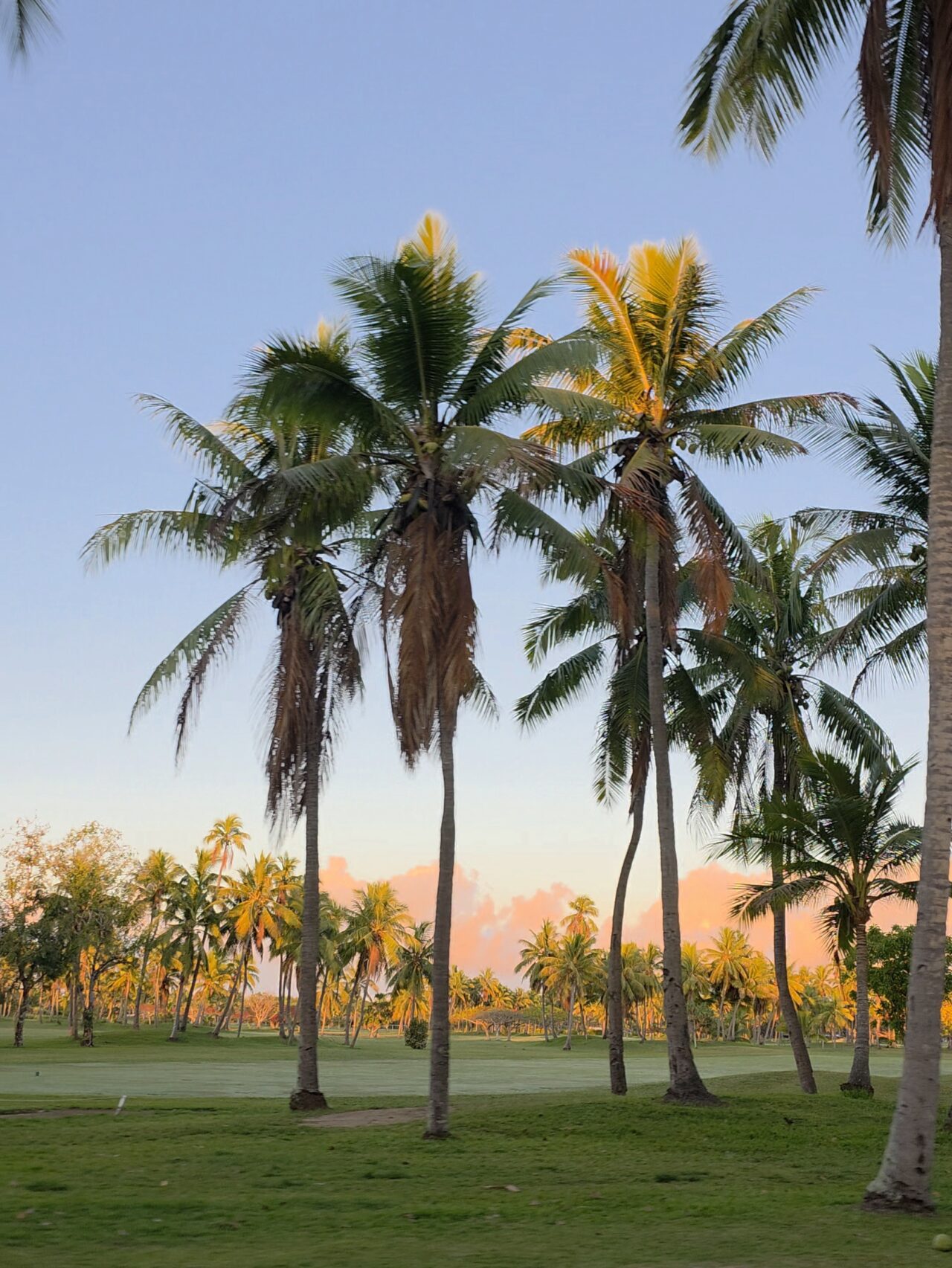 フィジーのデナラウ