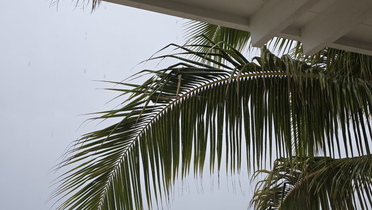 マラマラビーチクラブ