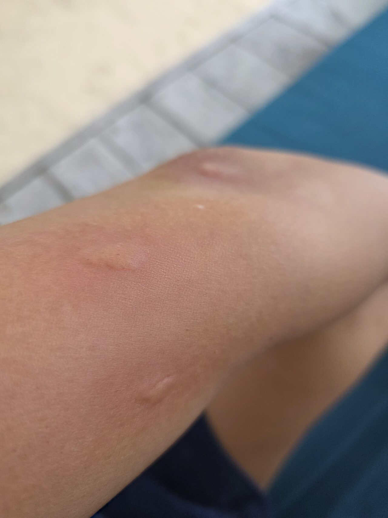 マラマラビーチクラブ