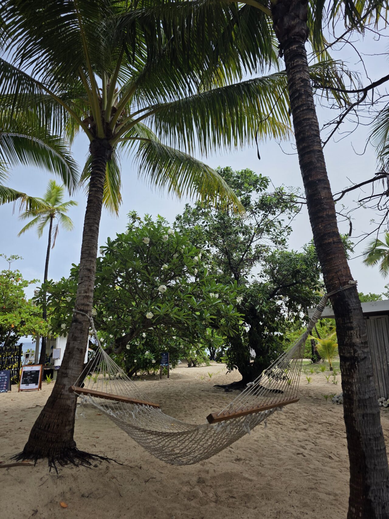 マラマラビーチクラブ