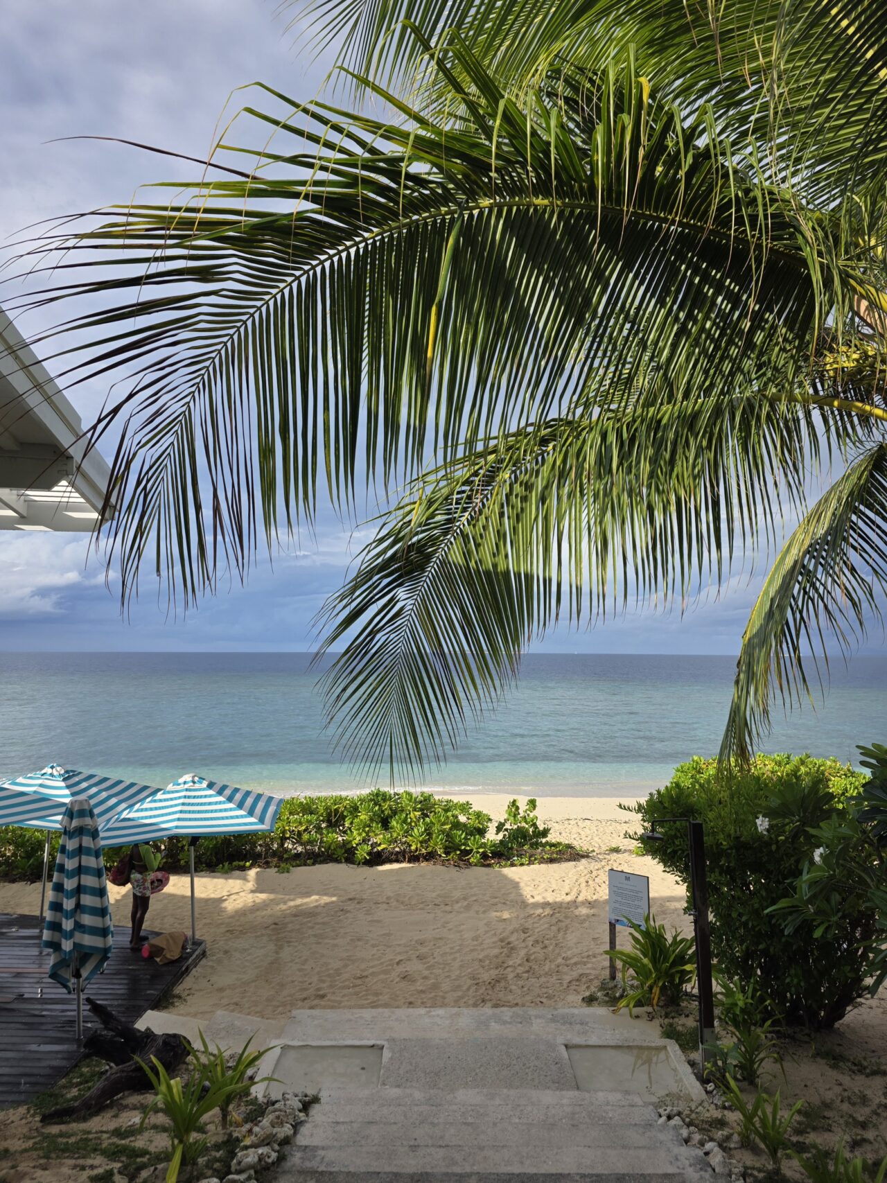 マラマラビーチクラブ