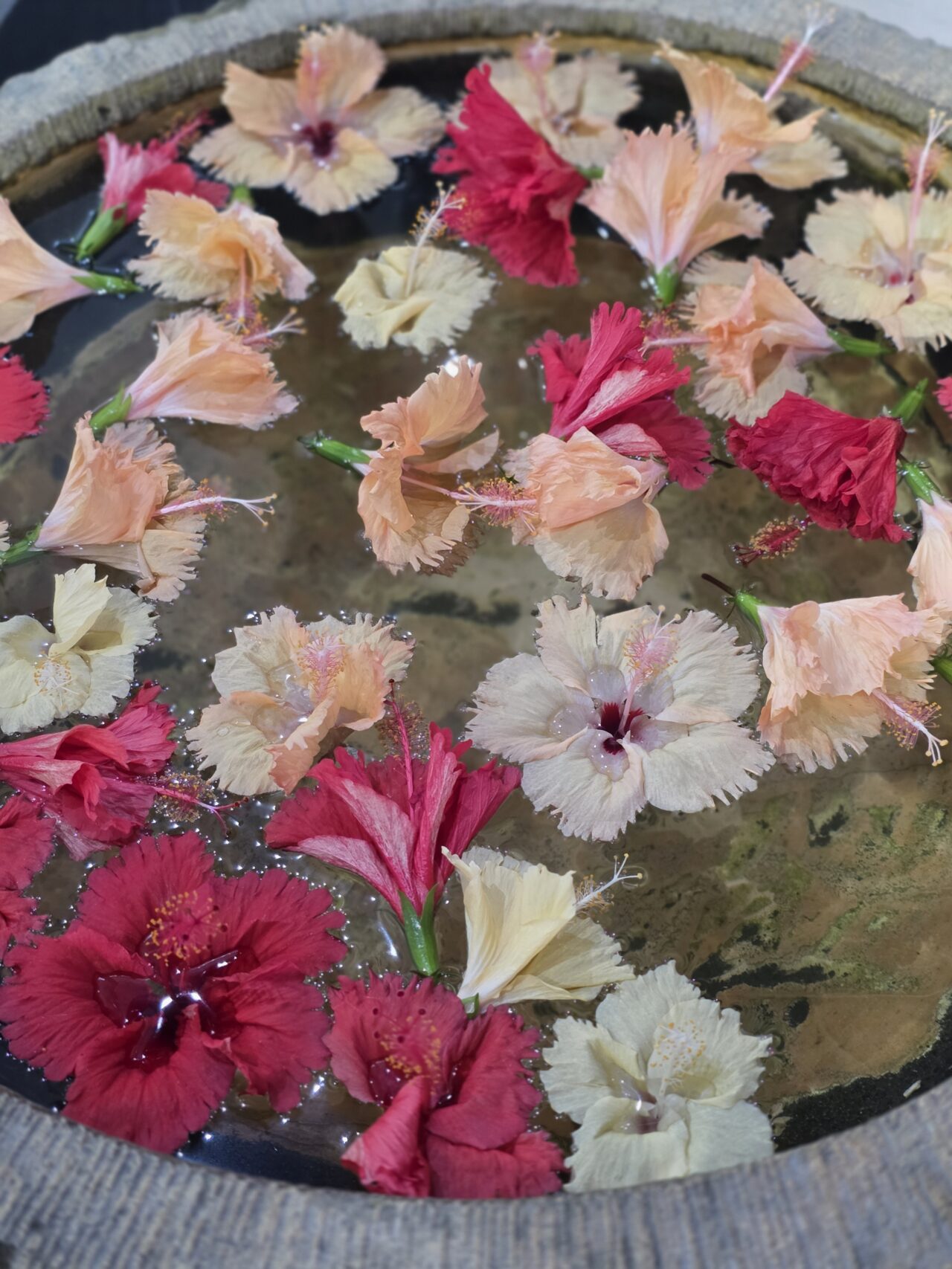 PURE FIJI SPA スパ デナラウ