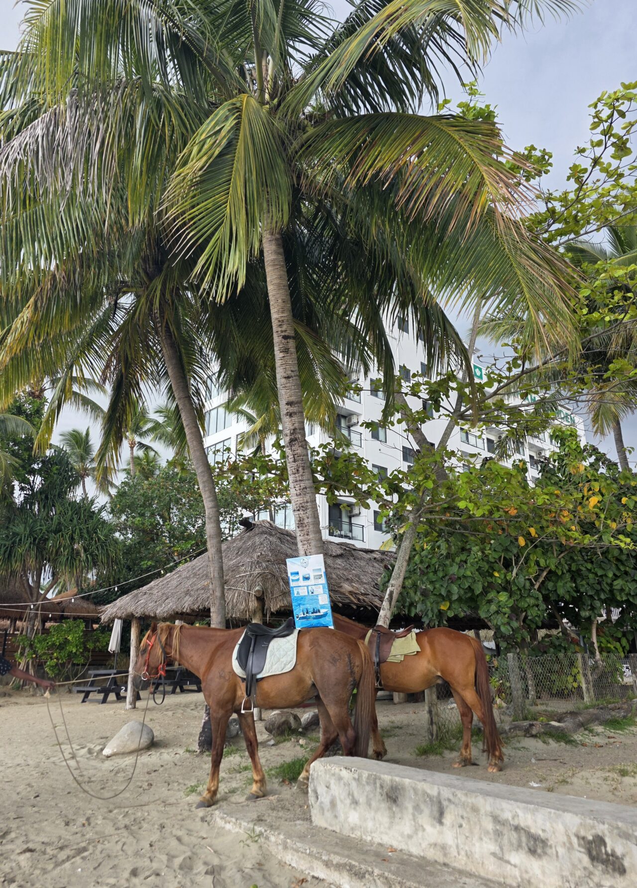 ワイロアロアビーチ