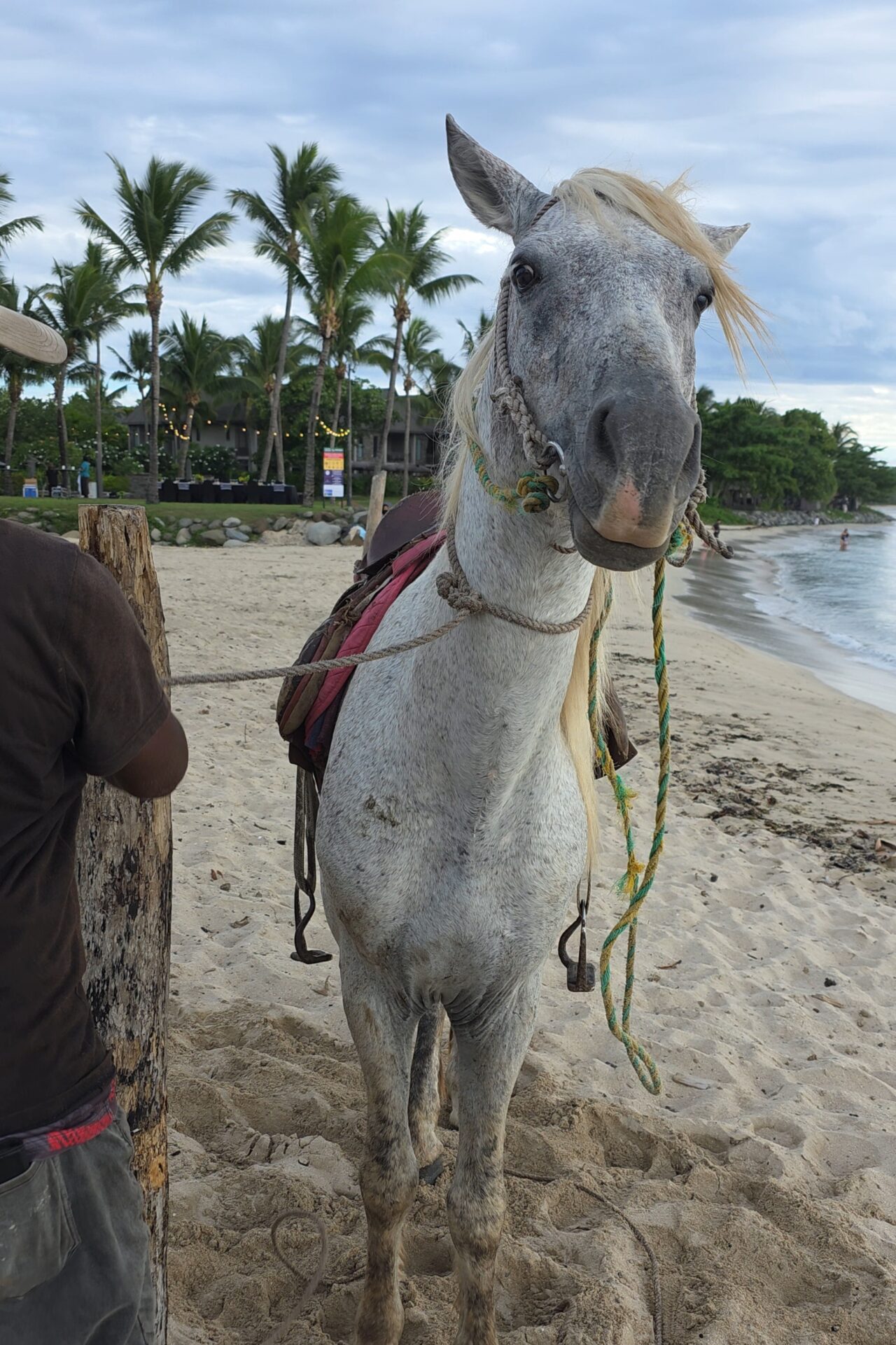 Yatule Resort & Spa: FIJI