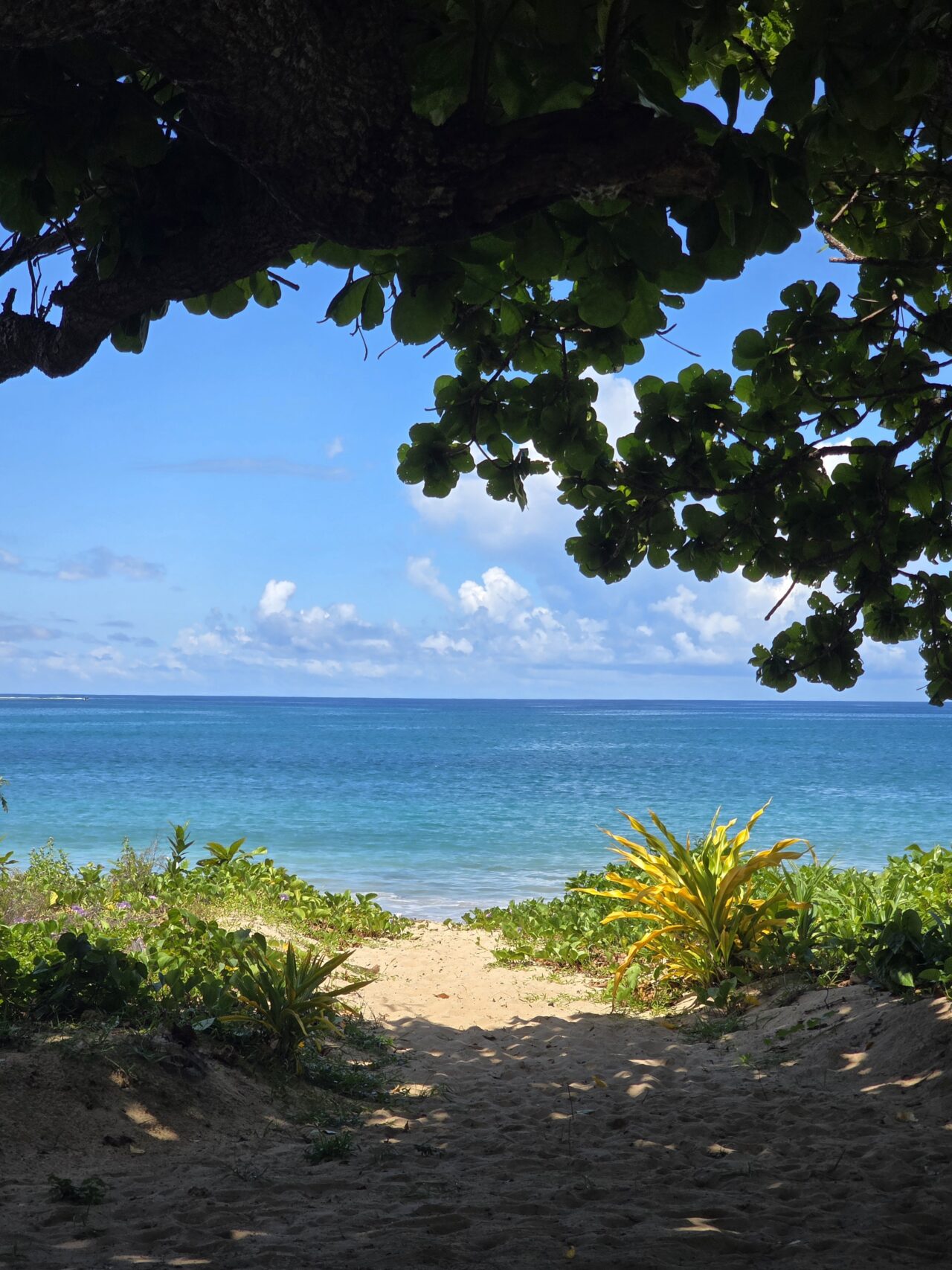 Yatule Resort & Spa: FIJI