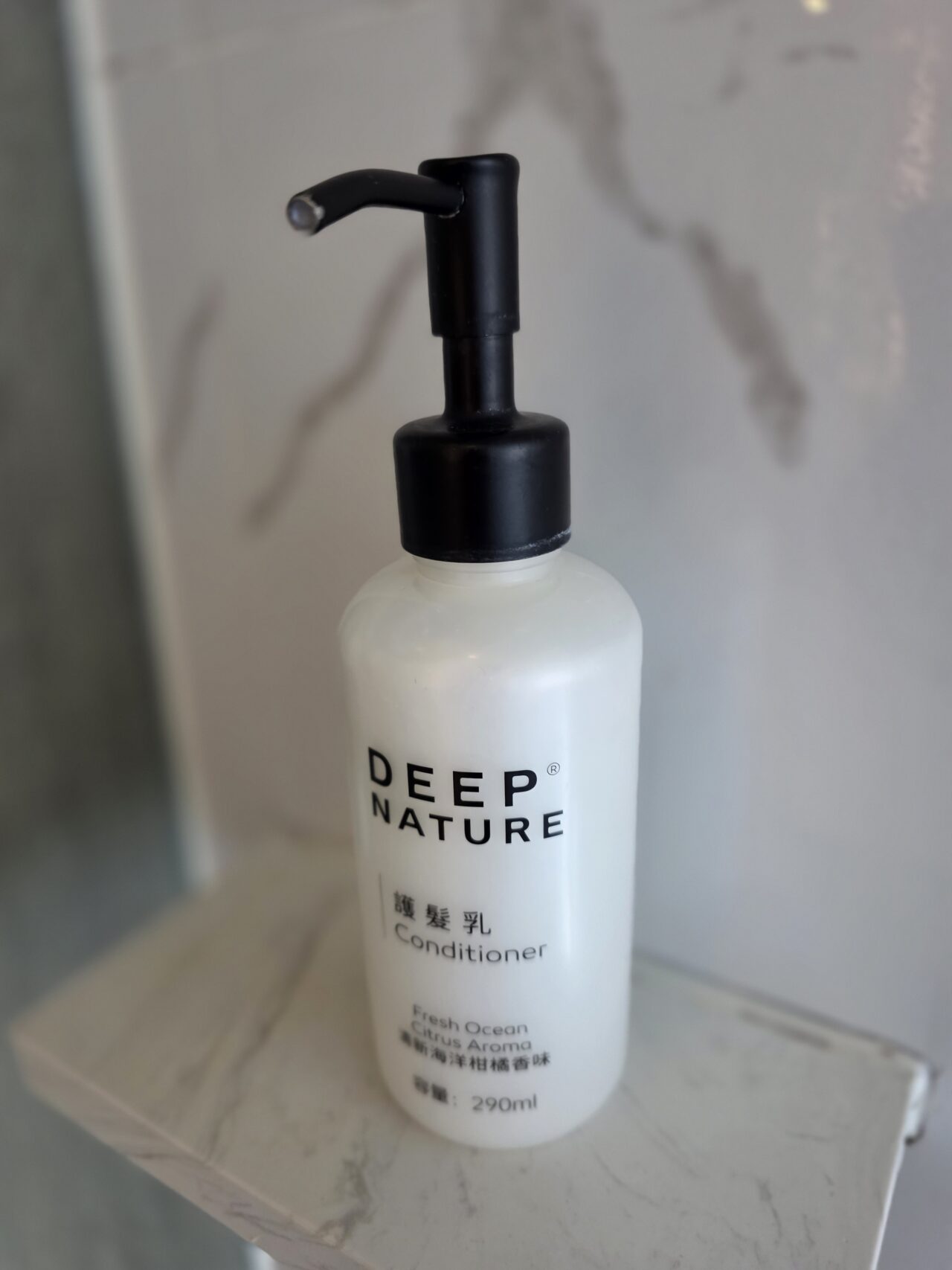 ハイアット リージェンシー 桃園国際空港