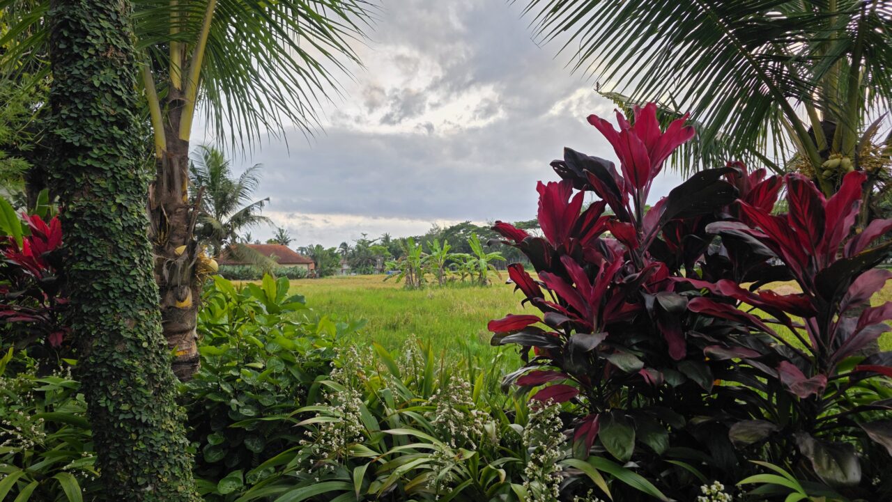 テガルサリアコモデーション（Tegal Sari Accommodation）