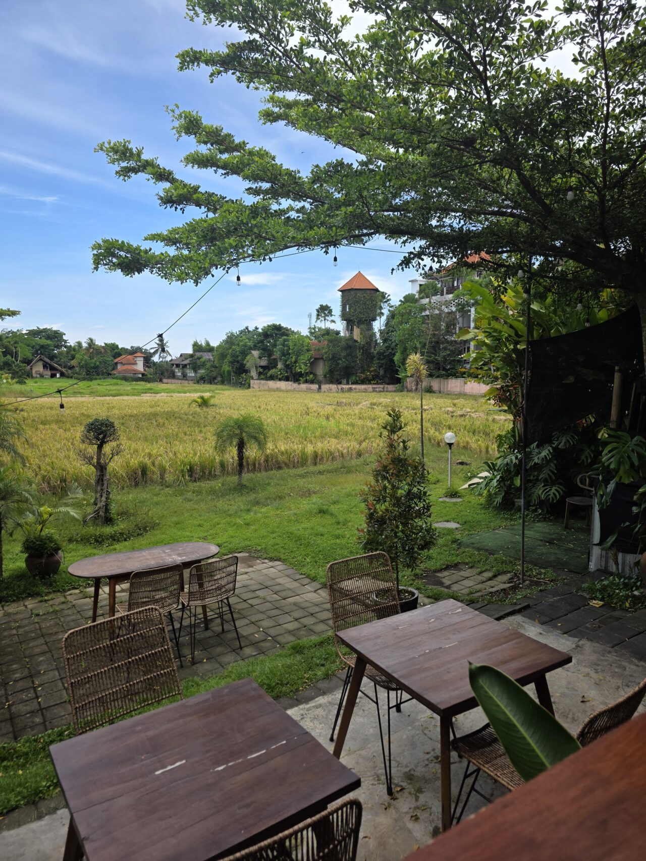 Citrus Berry Ubud（シトラス・ベリー・ウブド）