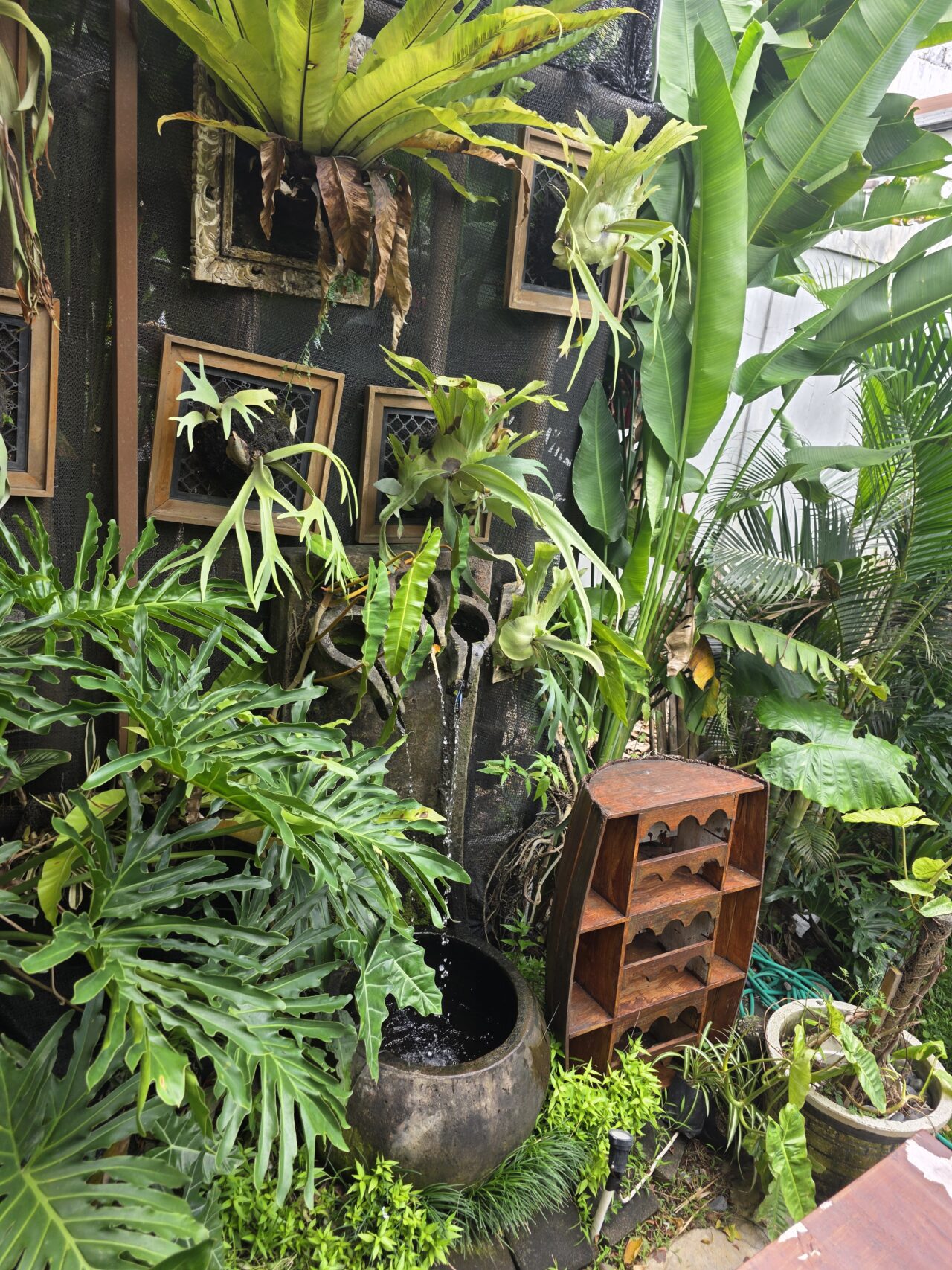 Citrus Berry Ubud（シトラス・ベリー・ウブド）
