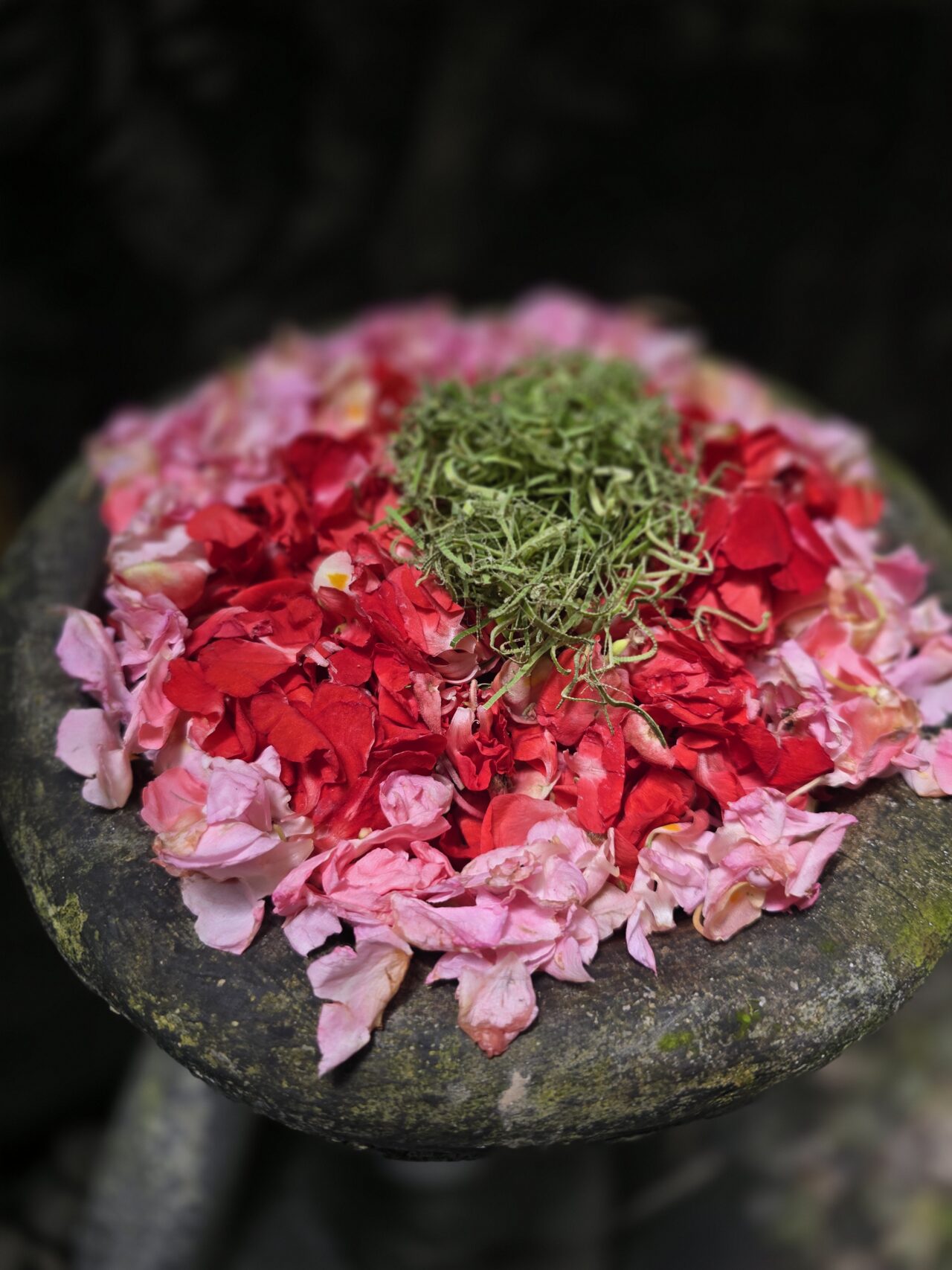 Kaveri Spa