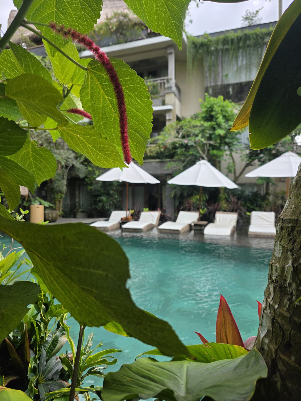 The Udaya Resorts&Spa