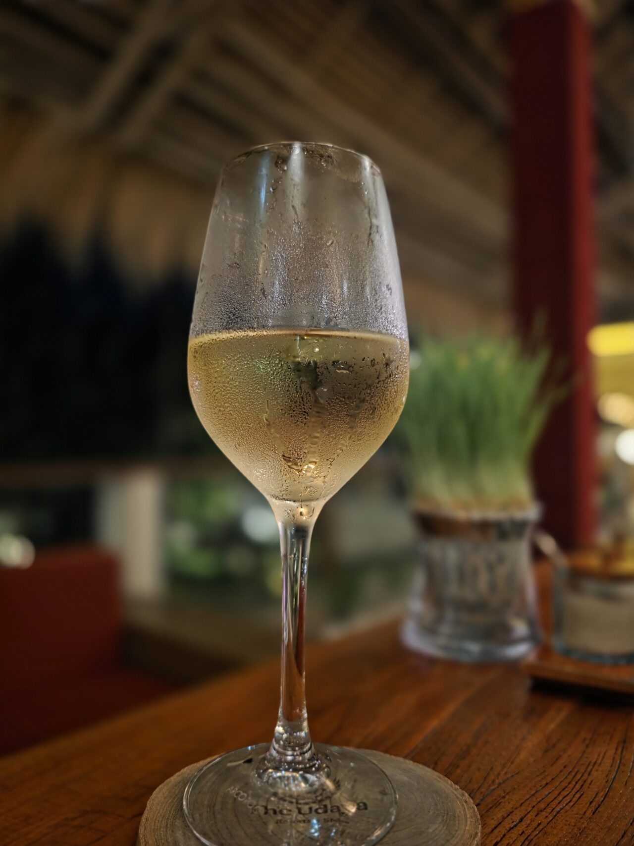 The Udaya Resorts&Spa