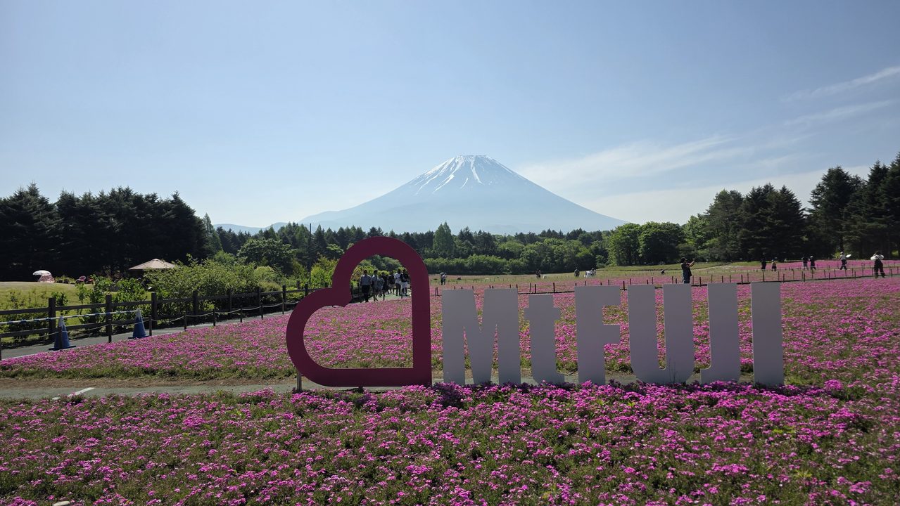 富士芝桜まつり