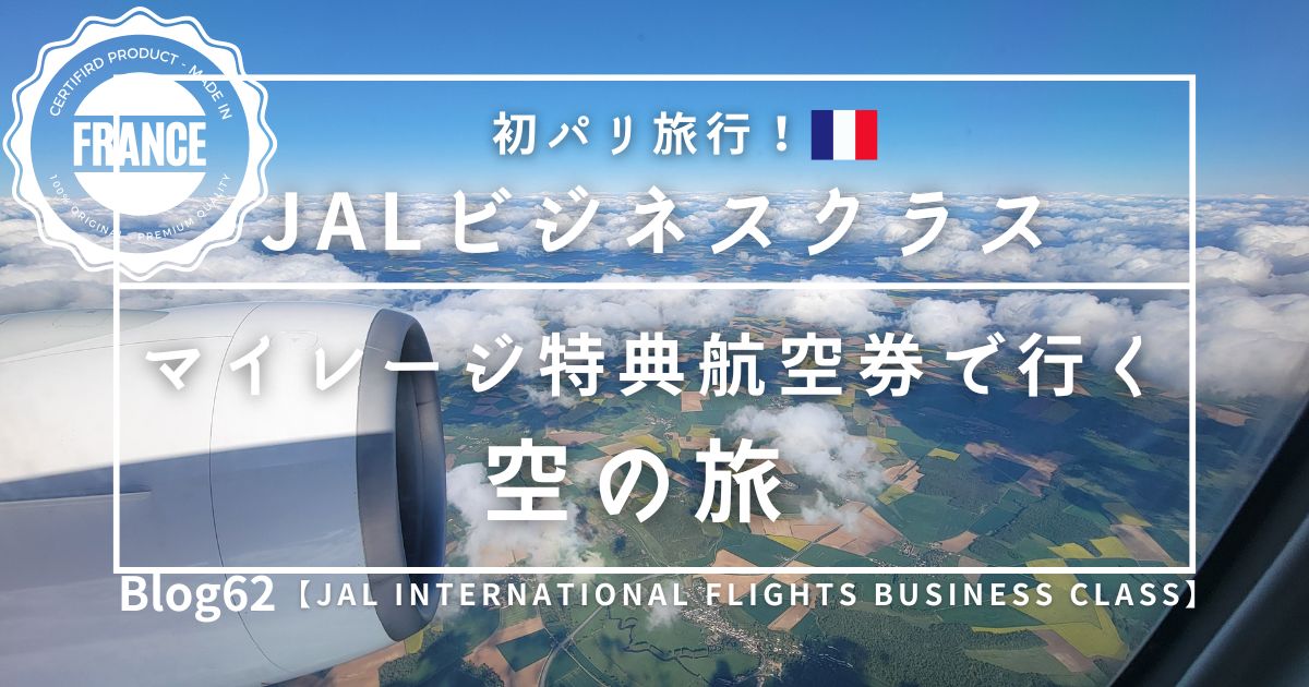 JAL International Flights Business Class