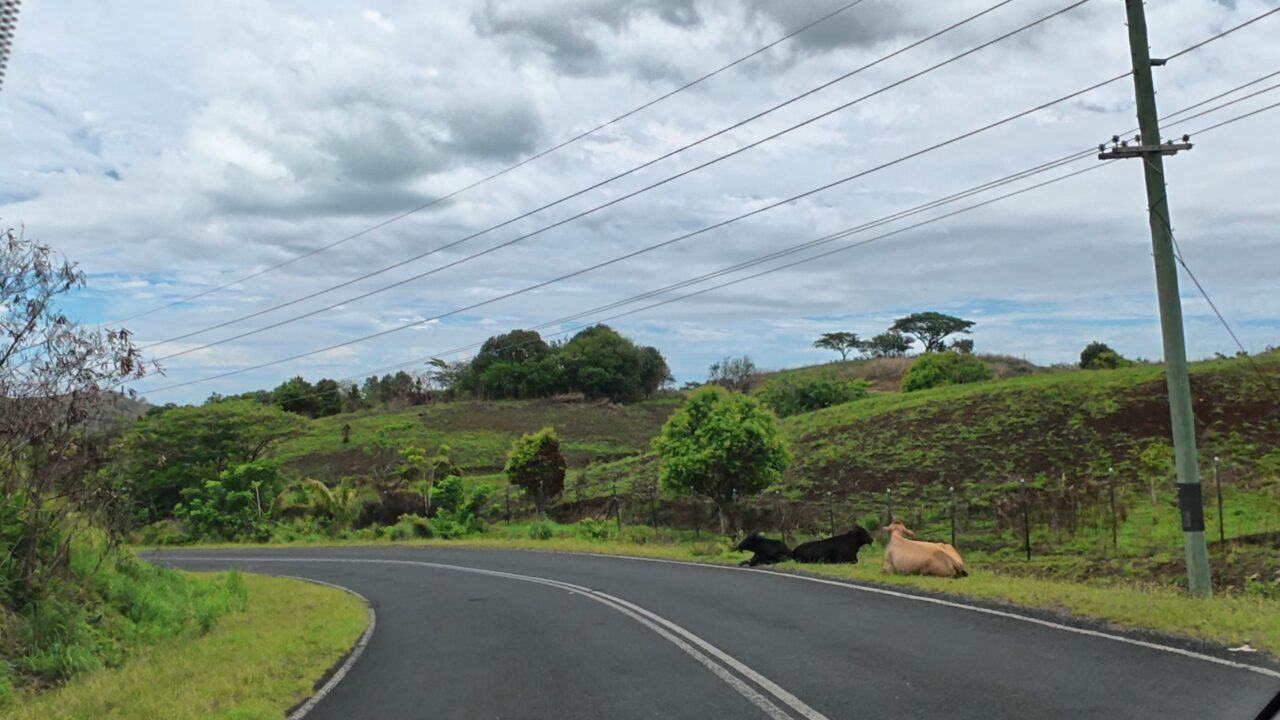 フィジーの道路