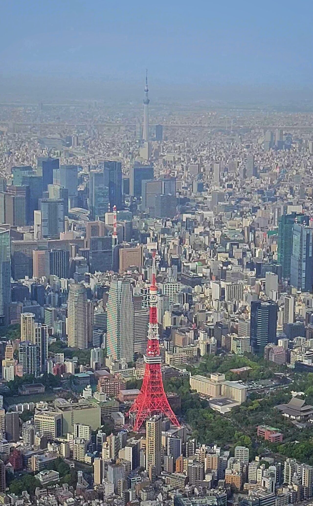 東京タワー、スカイツリー