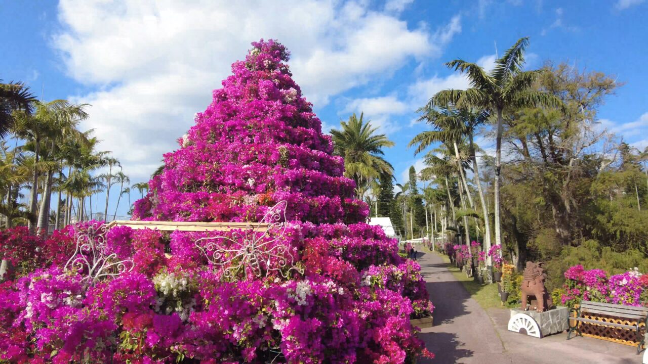 Southeast Botanical Gardens・Okinawa